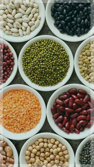 Premium Pulses And Lentils Exporter